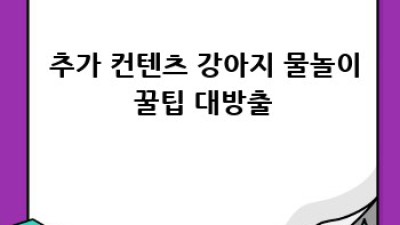 🐶 여름아 부탁해! 댕댕이 인생샷📸 강아지물놀이 완전정복 💦